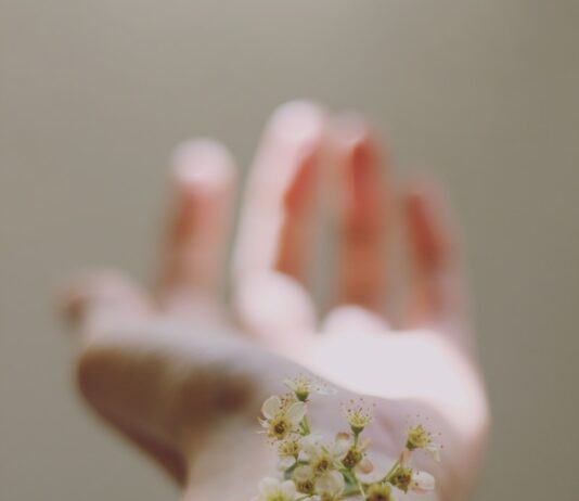 피부 건강을 유지하는 5가지 실용적인 팁 selective focus photography of white clustered flowers on left human hand