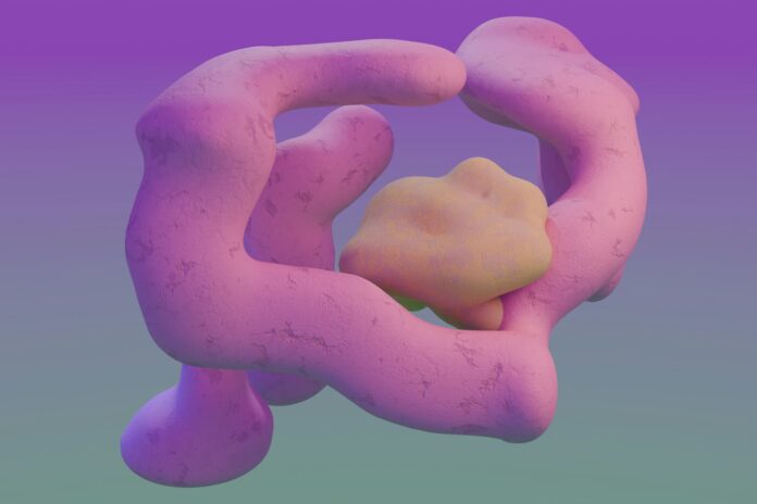 Photo by Steve Johnson A close up of a pink object on a purple background