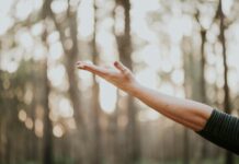 웰니스 문화, 일상 속 작은 습관이 만드는 건강 혁명 tilt shift lens photography of person lifting hand