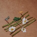 일상 속 대체요법, 자연스러운 치유로 건강을 찾다 a bunch of flowers sitting on top of a table