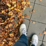 변화하는 직장인 건강 트렌드… 사무실 속 작은 실천이 건강 지킨다 A person standing on a sidewalk surrounded by leaves