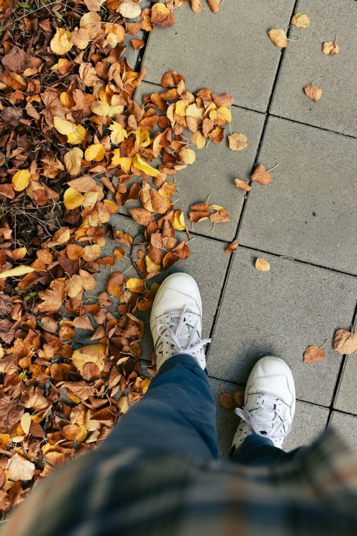A person standing on a sidewalk surrounded by leaves