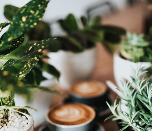 “일상 속 스트레스, 신체와 마음을 다독이는 소소한 루틴이 답이다” shallow focus photography of coffee late in mug on table