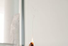 MZ세대가 이끄는 웰니스 문화, ‘나만의 건강 루틴’이 대세 person holding orange flower in front of white wall