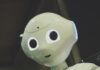내 손안의 건강 비서, AI와 함께하는 스마트 라이프 white robot toy holding black tablet