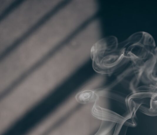 일상 속으로 스며든 대체요법… 건강한 생활의 작은 변화 white smoke on brown wooden table