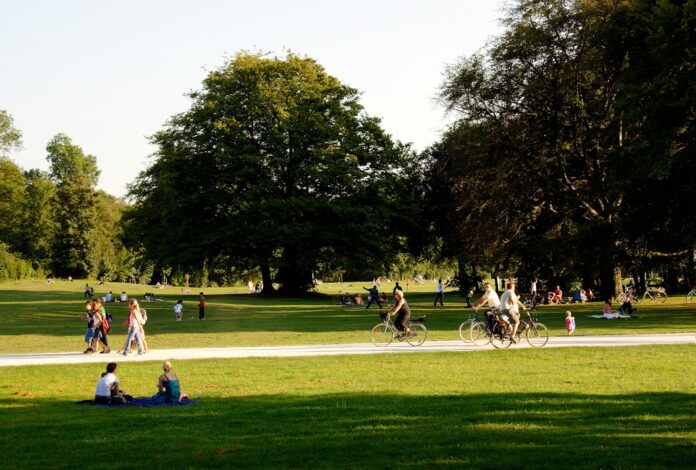 people relaxing and biking in sunny park