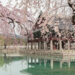 마음 챙김, 건강관리의 시작…일상 속 ‘마음돌봄’ 실천법 주목 Cherry blossoms frame a historic korean palace